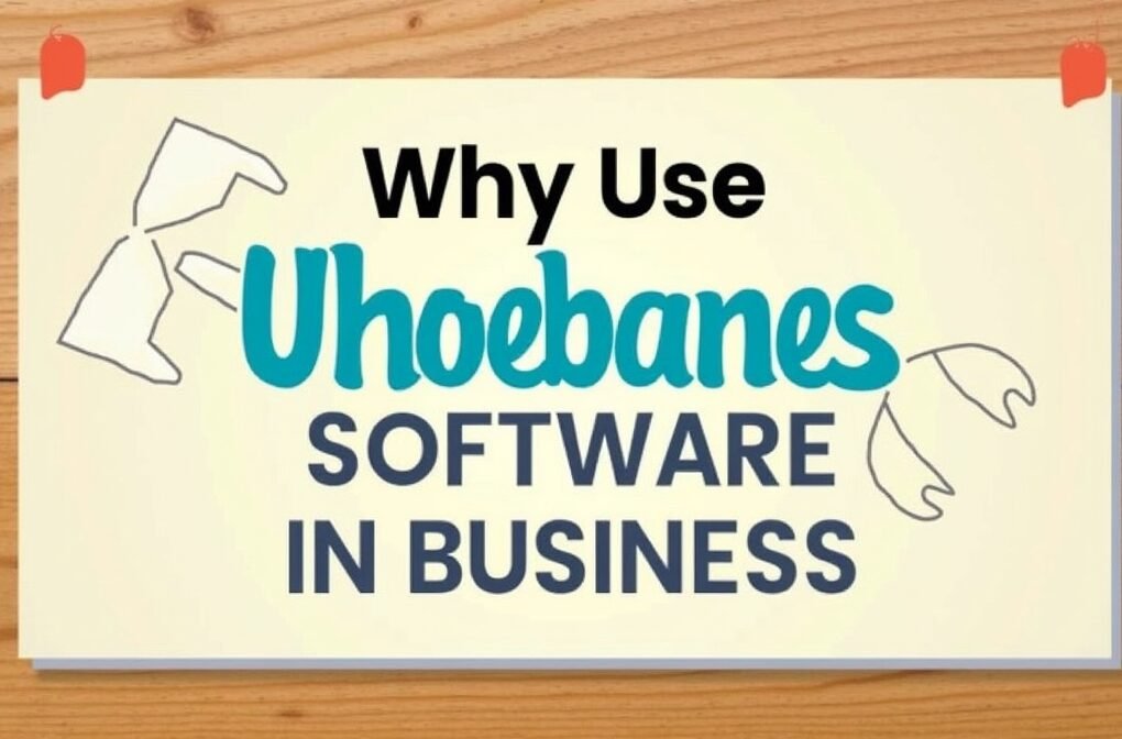 why use uhoebeans software in business