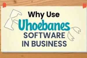why use uhoebeans software in business