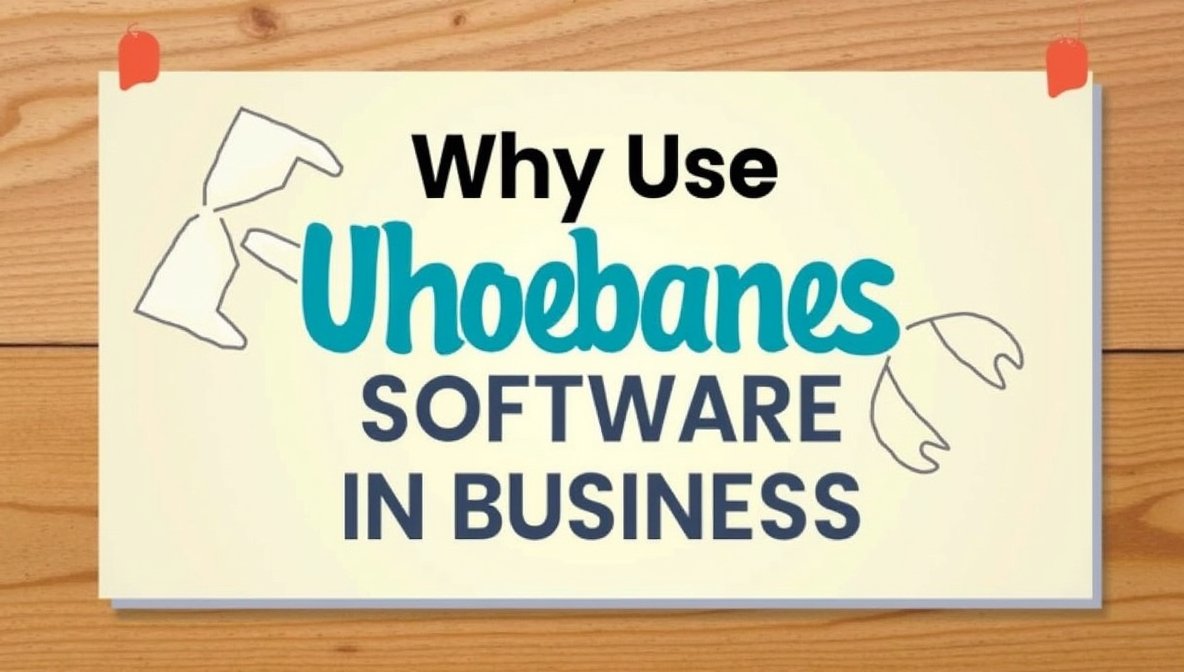 why use uhoebeans software in business
